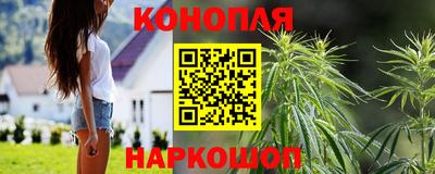 гидра Краснодар