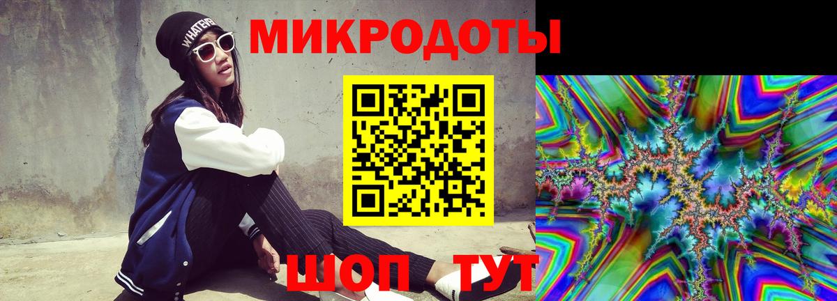 Псилоцибиновые грибы Psilocybine cubensis Кингисепп